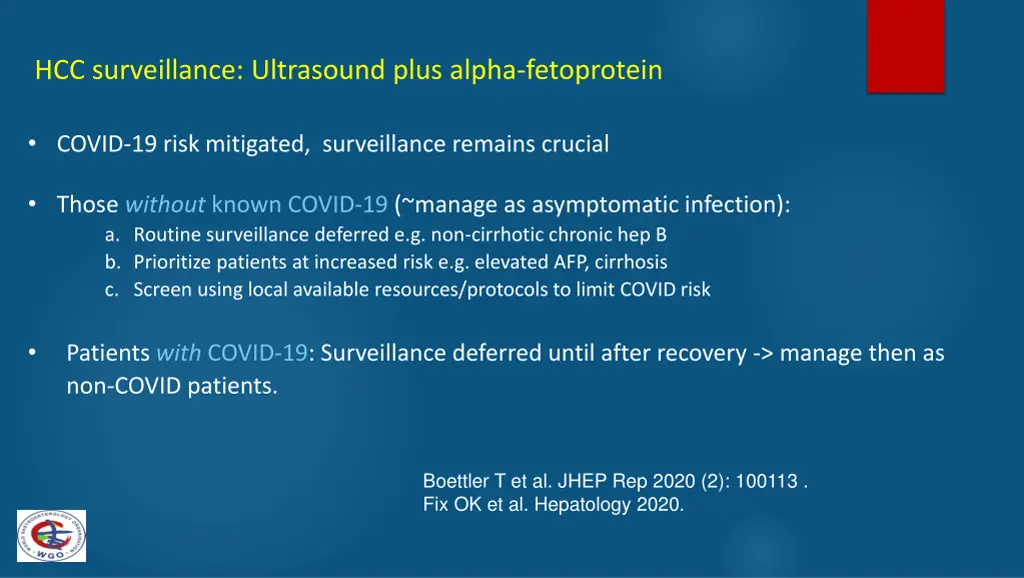 hcc surveillance ultrasound plus alpha fetoprotein