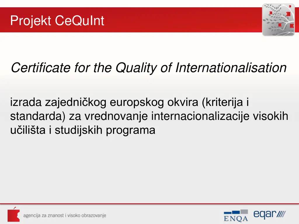 projekt cequint