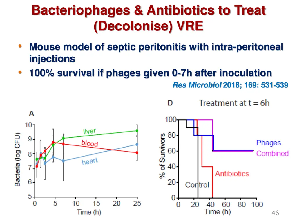 bacteriophages antibiotics to treat decolonise