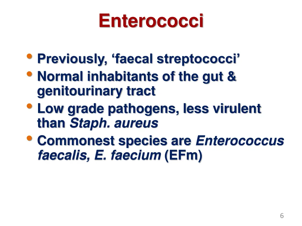 enterococci