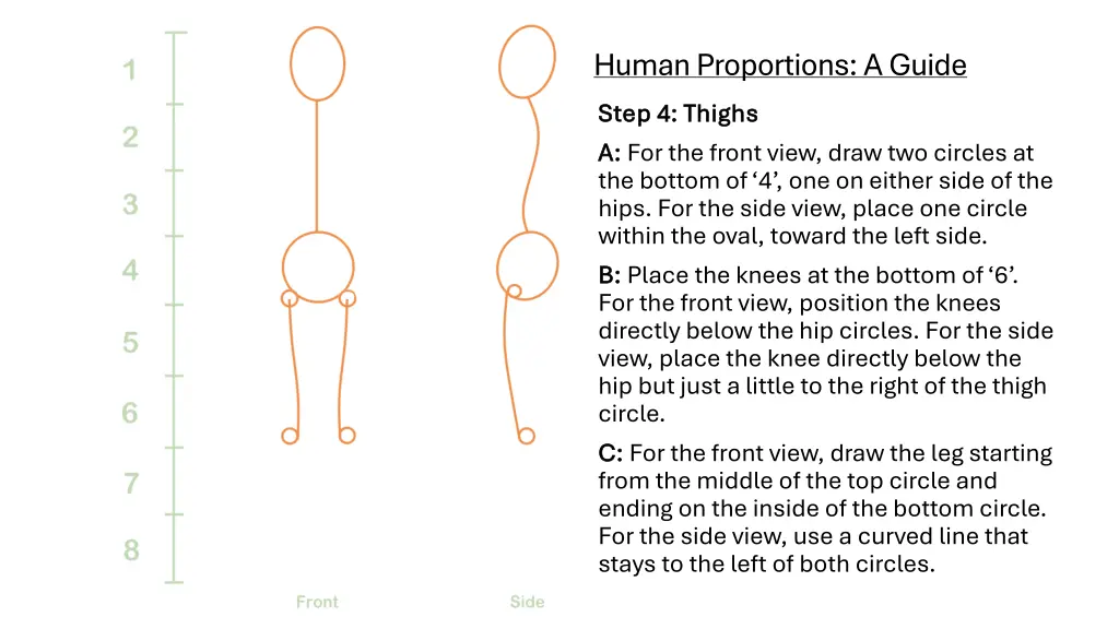 human proportions a guide 3