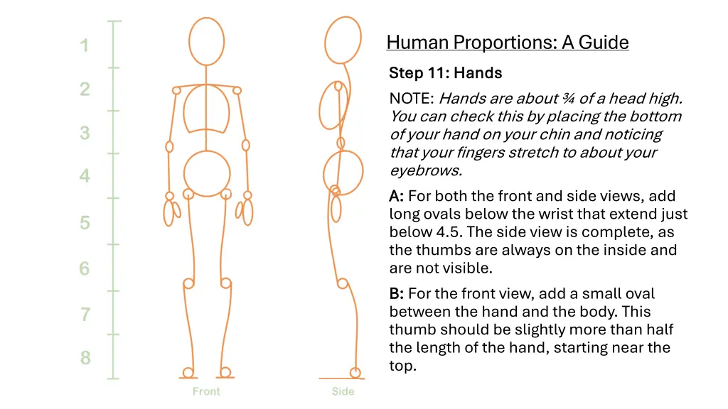 human proportions a guide step 11 hands step