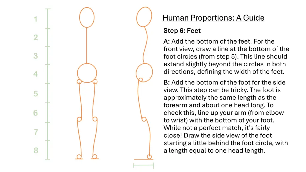 human proportions a guide step 6 feet step 6 feet