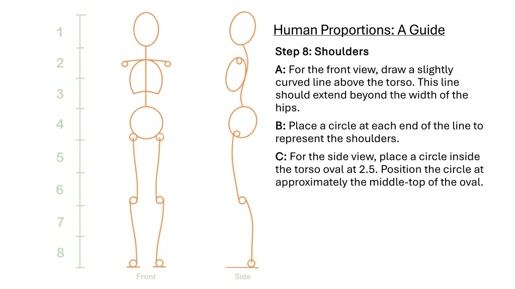 human proportions a guide step 8 shoulders step