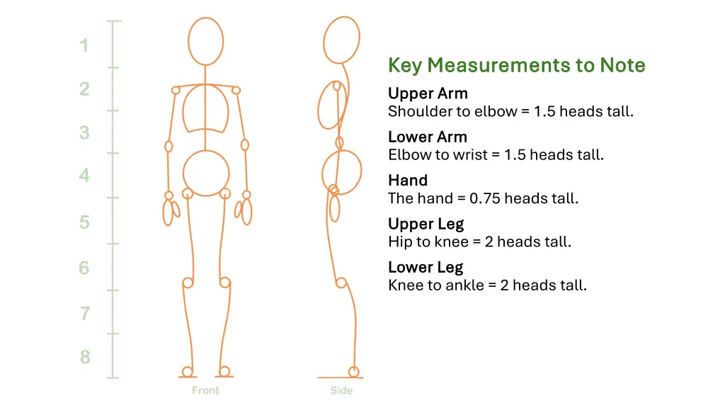 key measurements to note key measurements to note