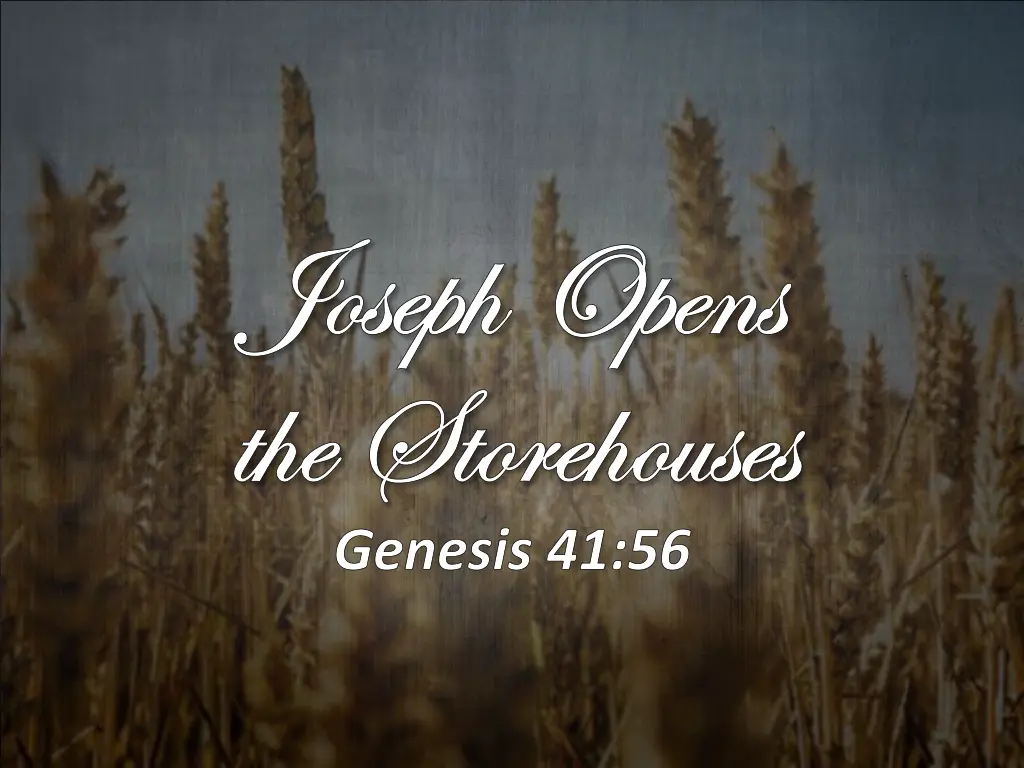joseph opens joseph opens the storehouses