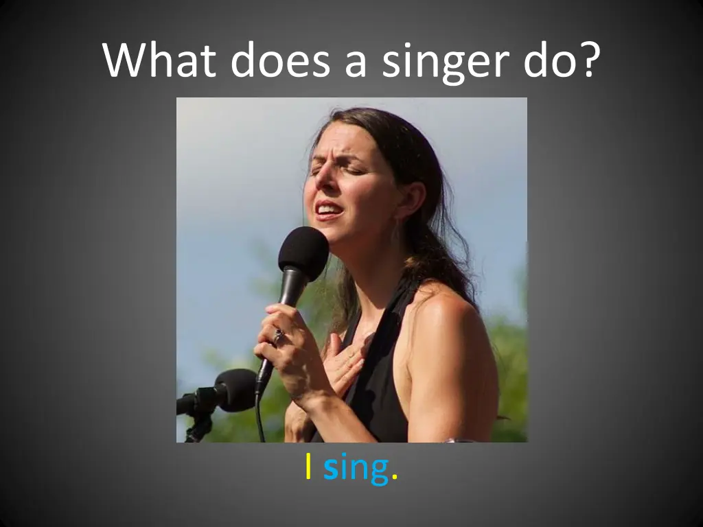 what does a singer do