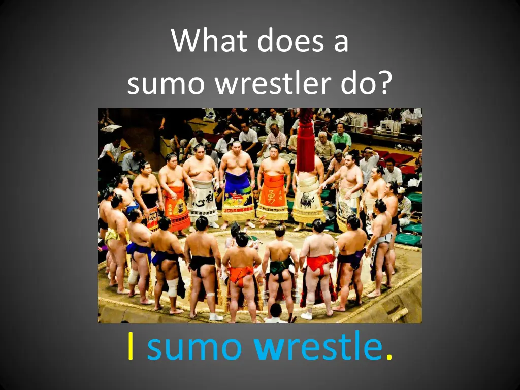 what does a sumo wrestler do