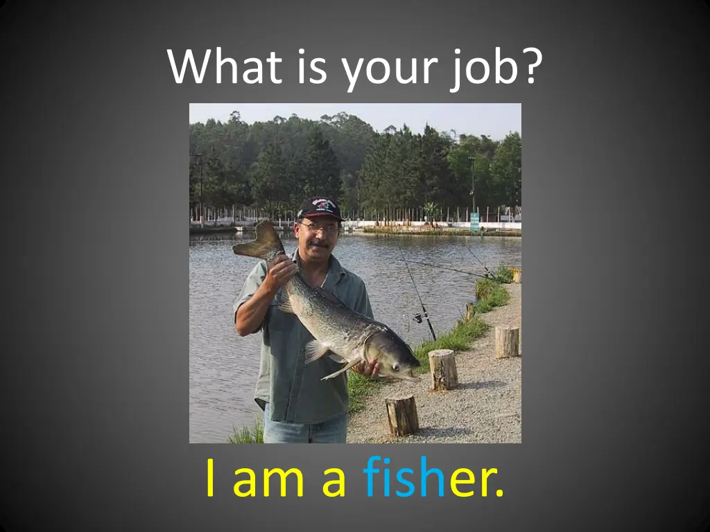 what is your job 7
