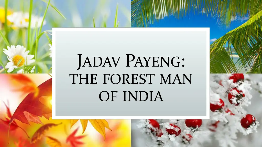 j adav p ayeng the forest man of india