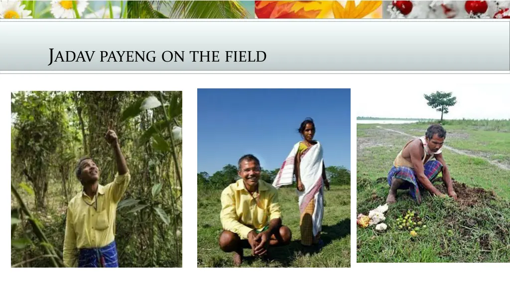 j adav payeng on the field