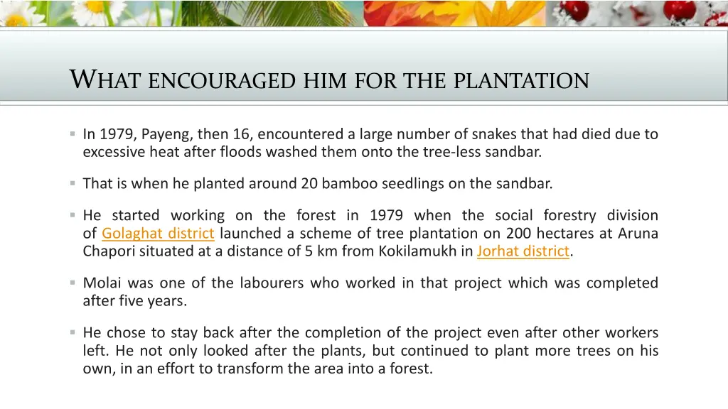 w hat encouraged him for the plantation