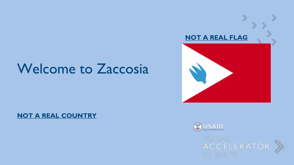 not a real flag