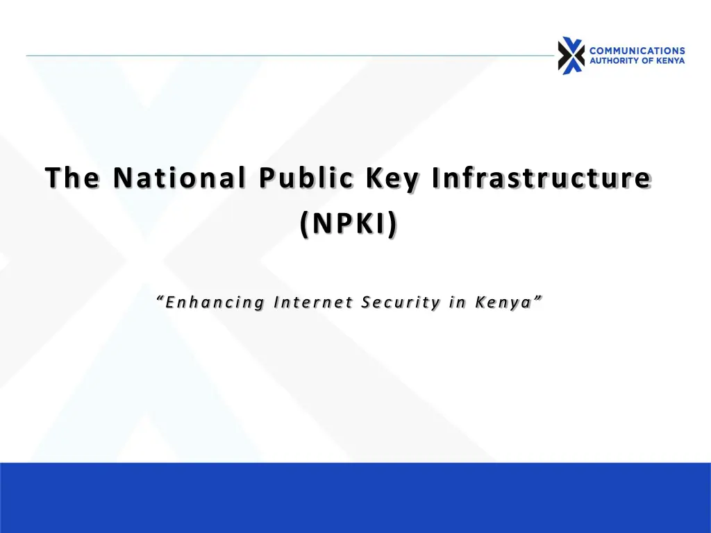 the national public key infrastructure npki
