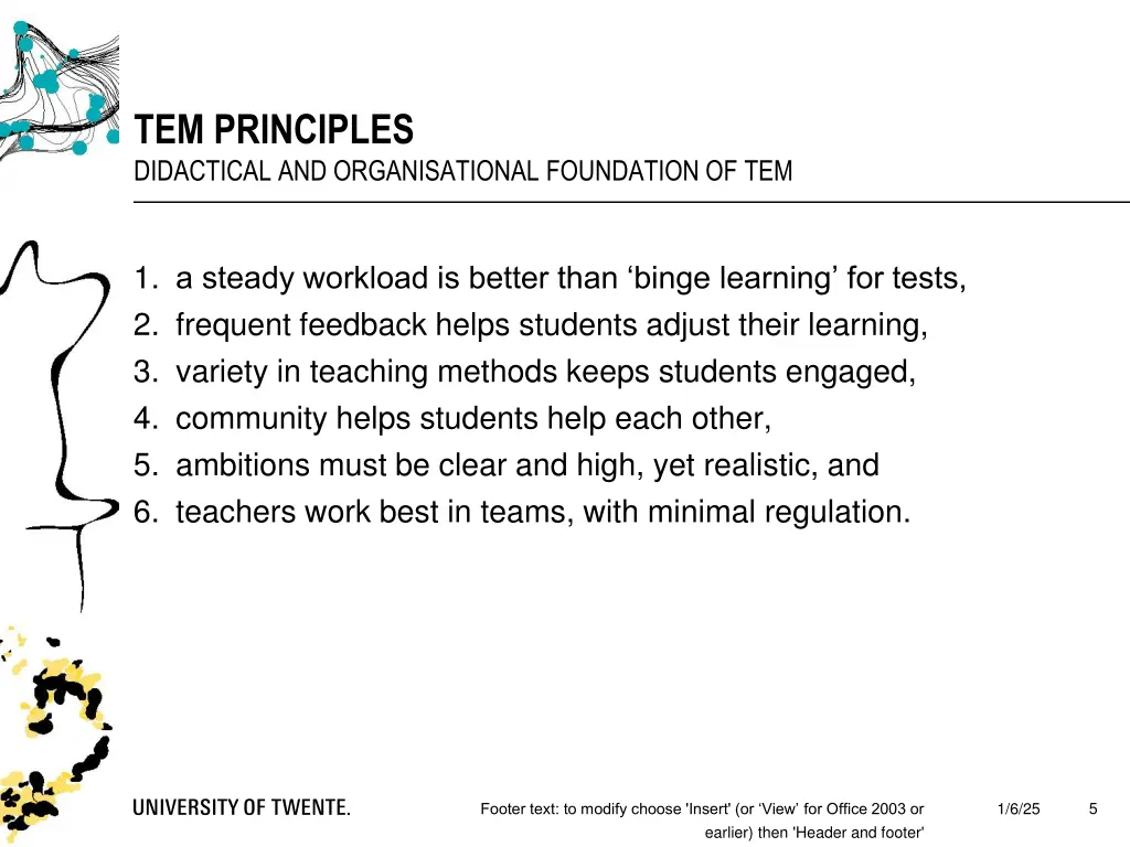 tem principles didactical and organisational