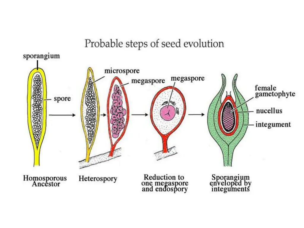 slide13