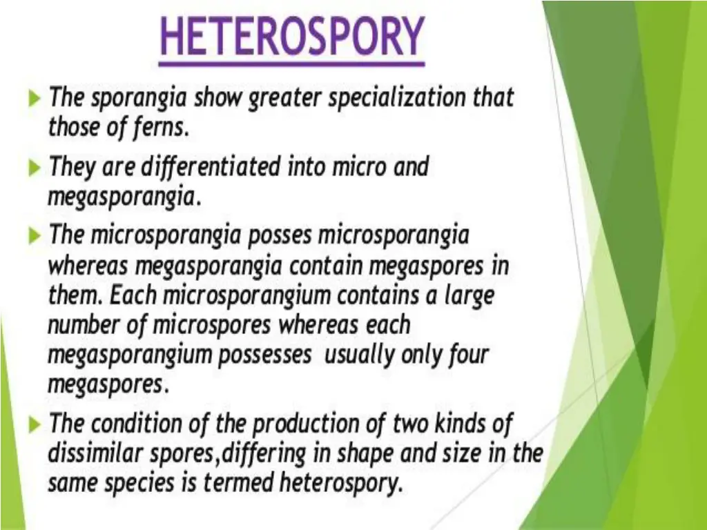 slide7