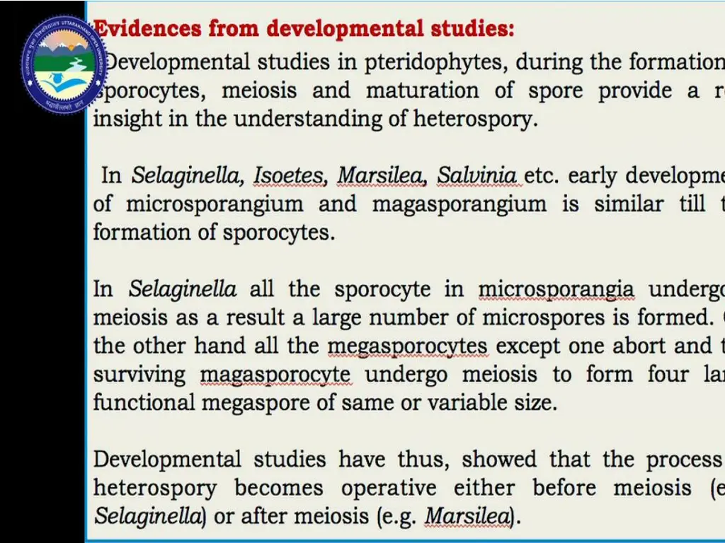slide8