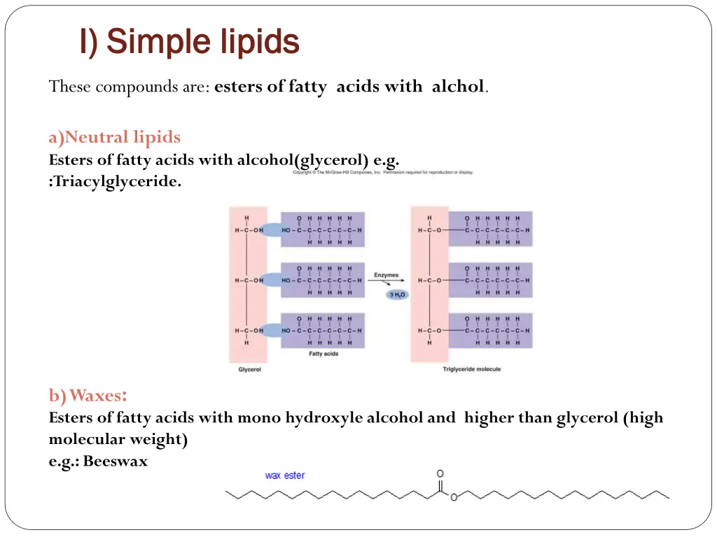 i simple lipids i simple lipids