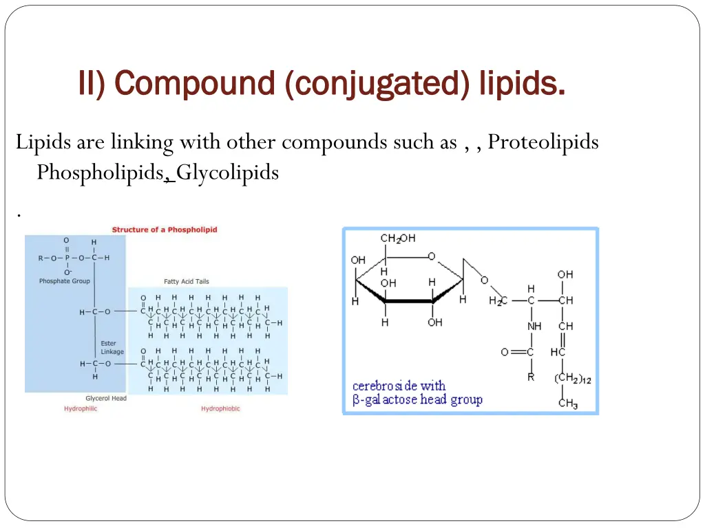 ii compound conjugated lipids ii compound