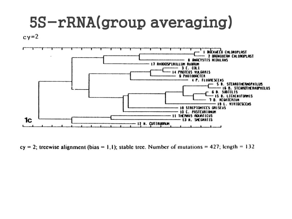 5s 5s rrna group averaging rrna group averaging 1