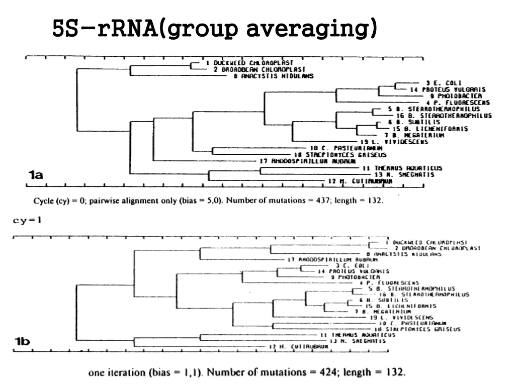 5s 5s rrna group averaging rrna group averaging