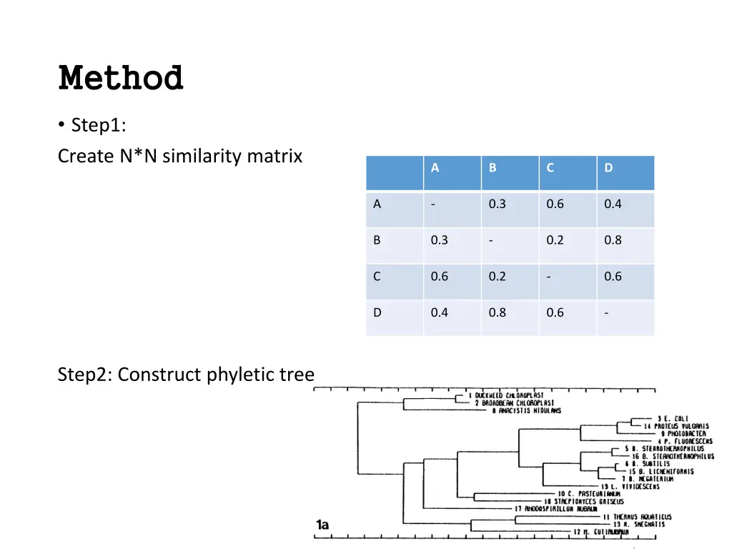 method method 1