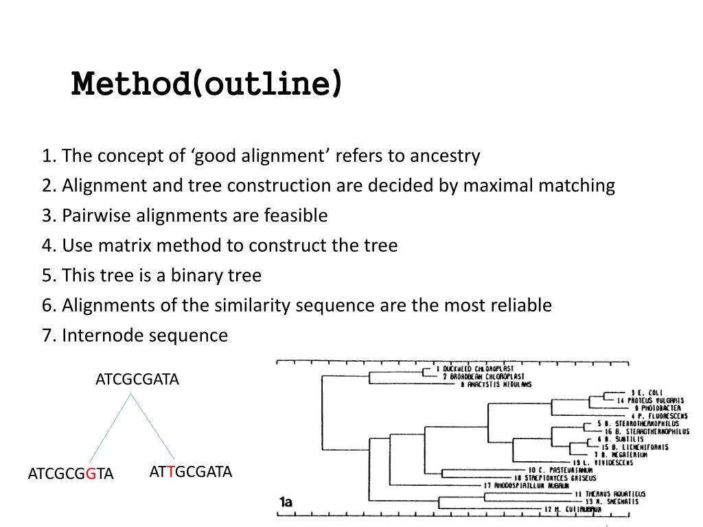 method outline method outline