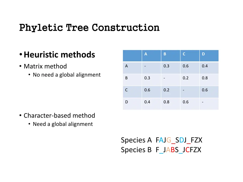 phyletic tree construction phyletic tree
