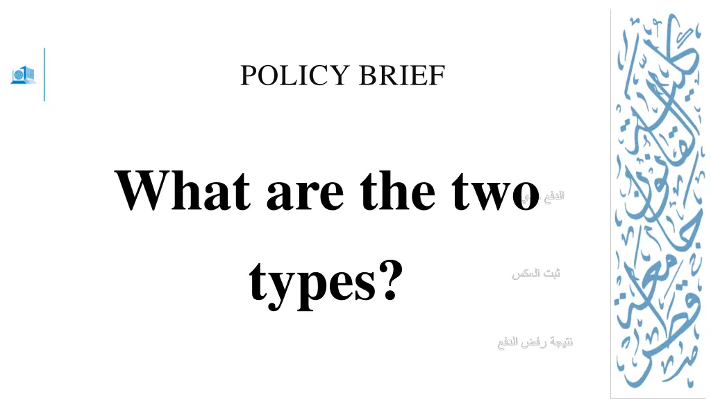 policy brief 1