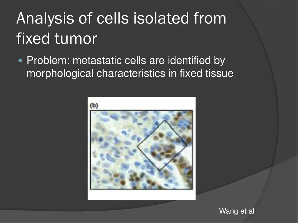 analysis of cells isolated from fixed tumor