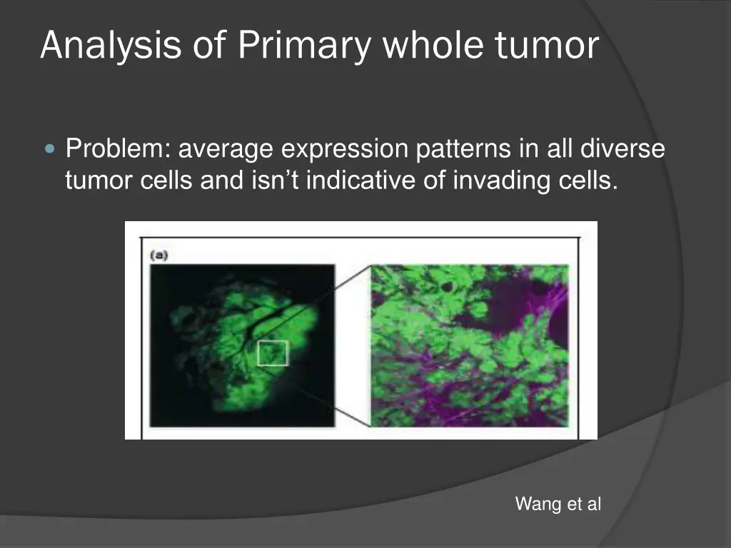 analysis of primary whole tumor