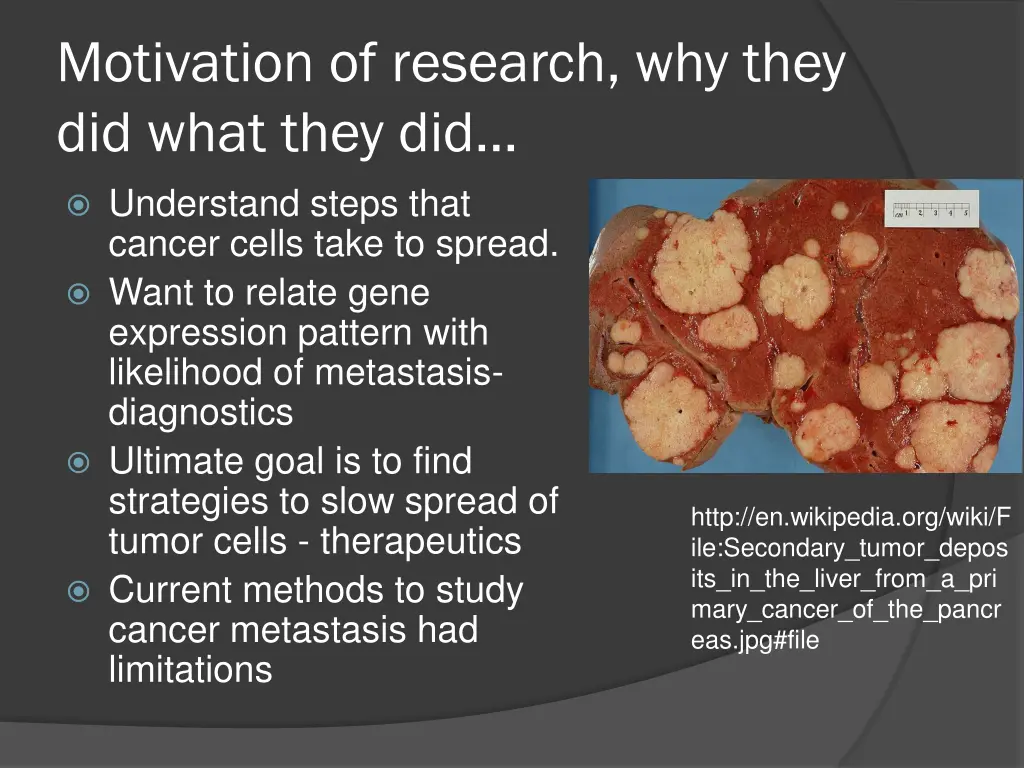 motivation of research why they did what they did