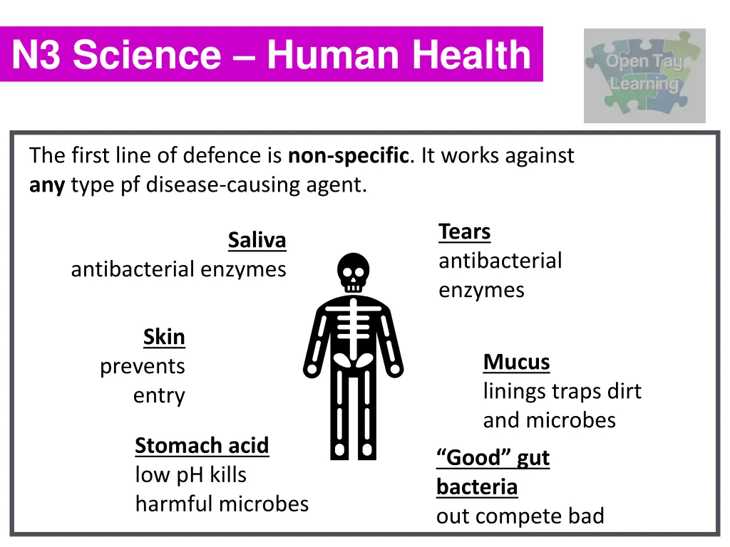 n3 science human health 5