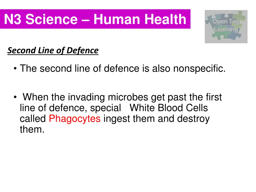 n3 science human health 6