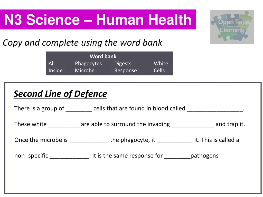 n3 science human health 7