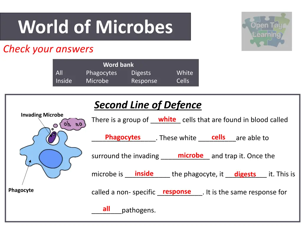world of microbes check your answers