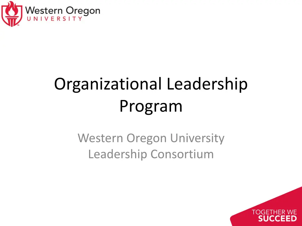 organizational leadership program