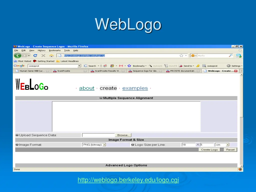 weblogo