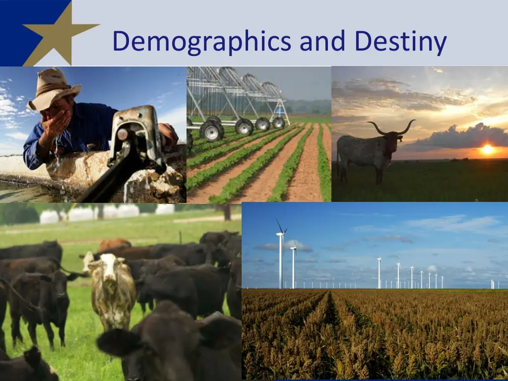 demographics and destiny