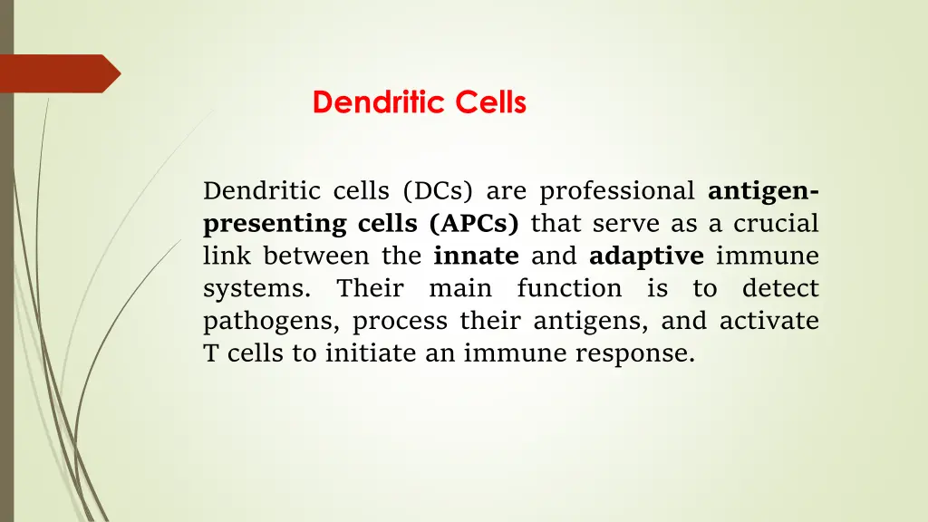 dendritic cells