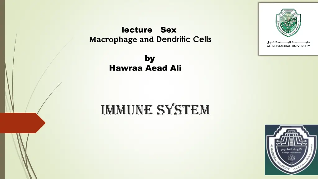 lecture sex macrophage and dendritic cells