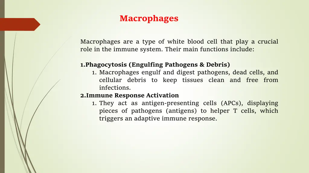 macrophages
