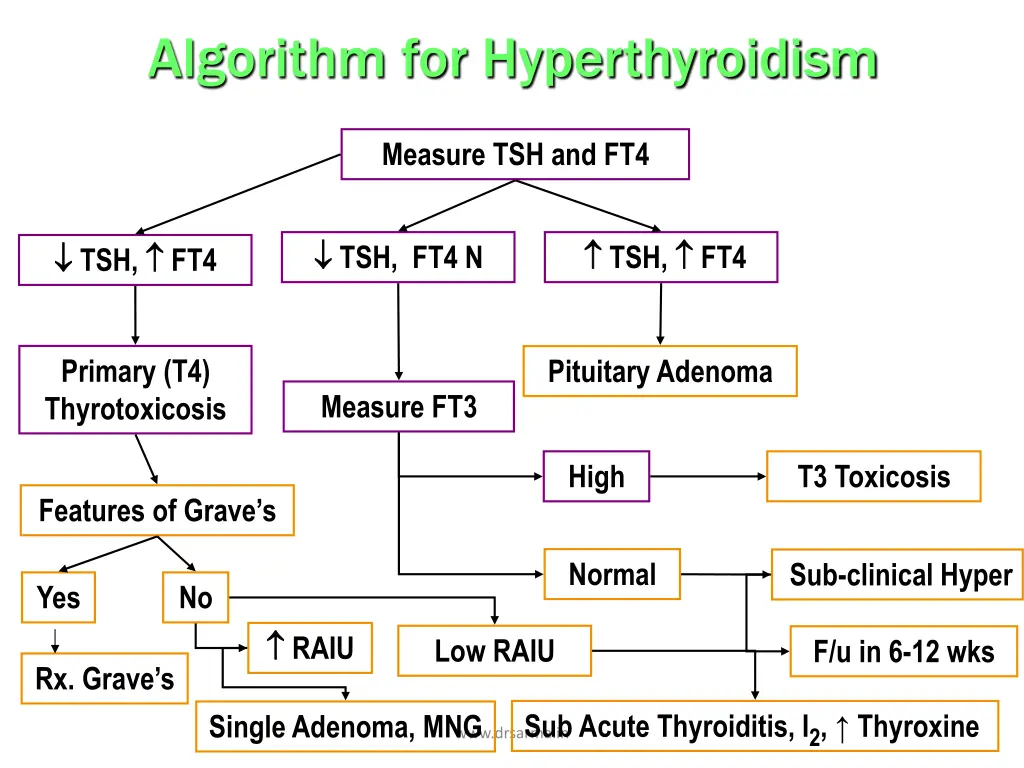 algorithm for hyperthyroidism