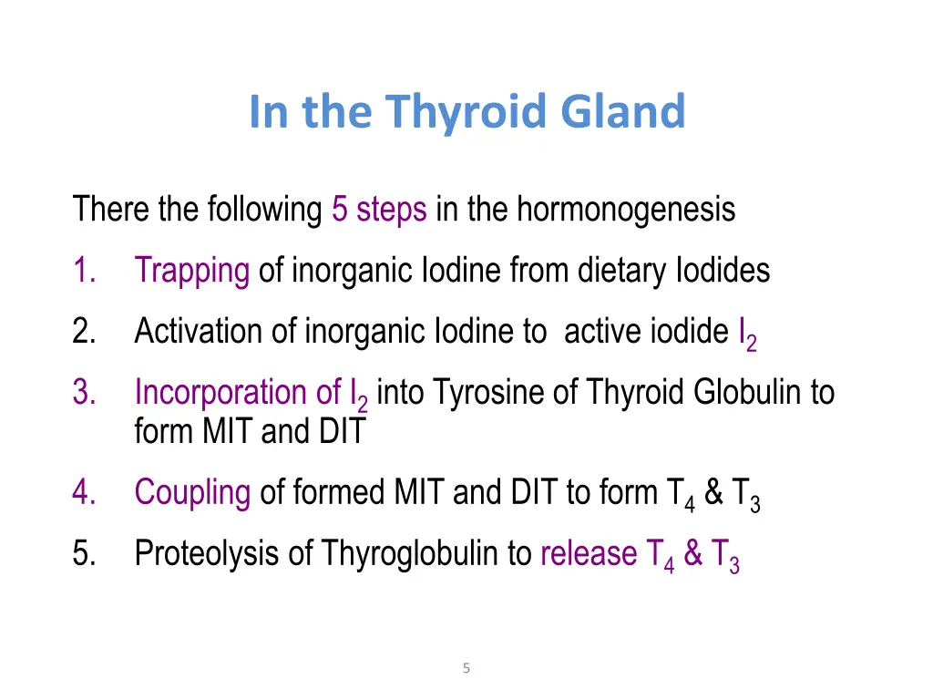 in the thyroid gland