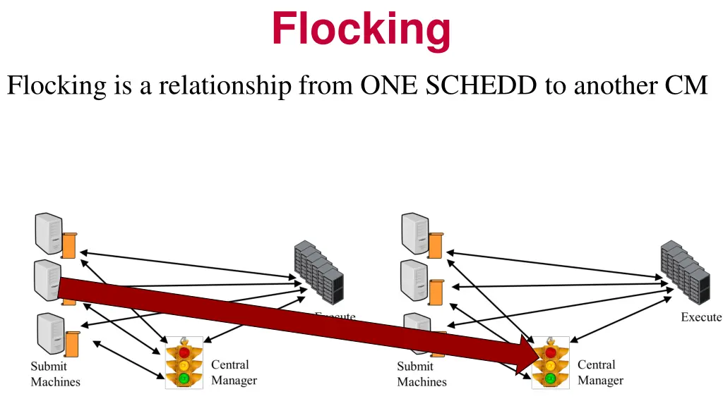 flocking