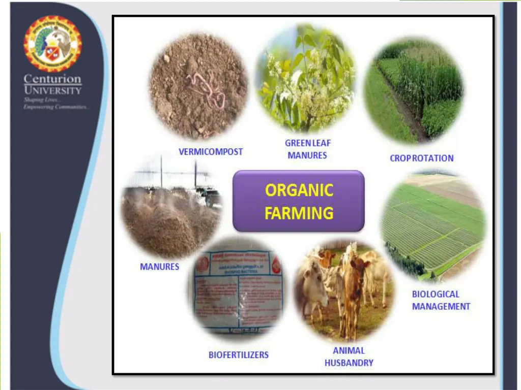 slide7