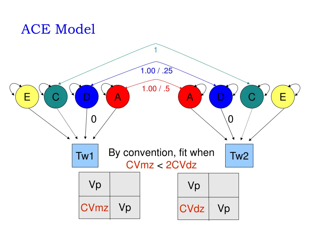 ace model
