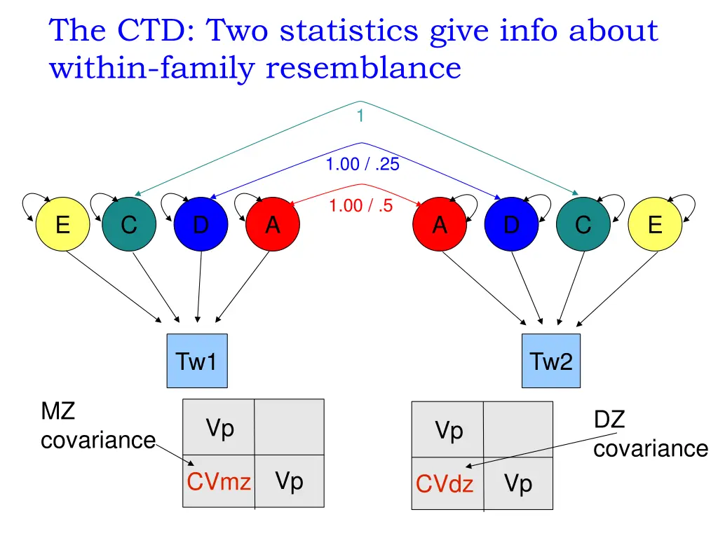 the ctd two statistics give info about within
