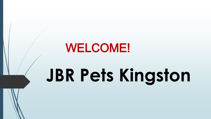 welcome welcome jbr pets kingston